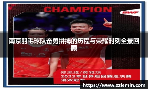 南京羽毛球队奋勇拼搏的历程与荣耀时刻全景回顾
